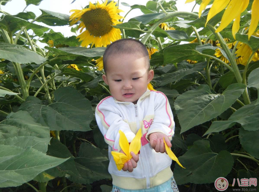 孩子一不聽(tīng)話(huà)就打屁股 孩子不聽(tīng)話(huà)的幾率會(huì)更高