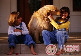 寵物攻擊性測試方法 寶寶被寵物咬傷的正確處理  