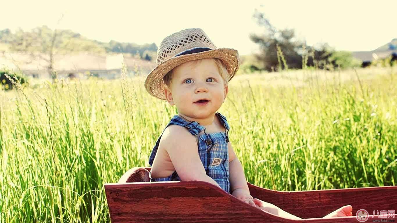 秋季預防寶寶感冒10大要點 秋季預防寶寶感冒10大要點