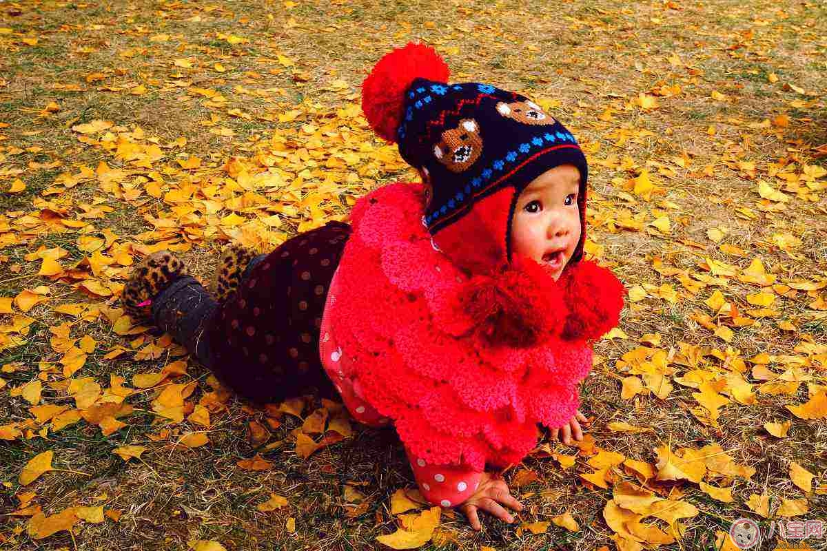 秋季預防寶寶感冒10大要點 秋季預防寶寶感冒10大要點