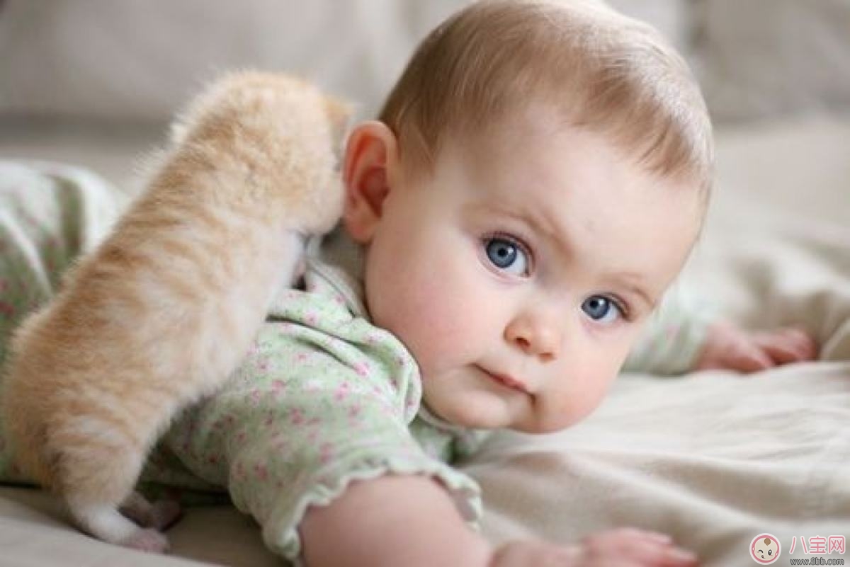 寶寶穿衣學(xué)問(wèn)大 挑選衣物要謹(jǐn)慎 寶寶穿衣學(xué)問(wèn)大 挑選衣物要謹(jǐn)慎