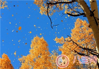 如何預(yù)防嬰幼兒秋燥癥  寶寶秋燥癥怎么吃