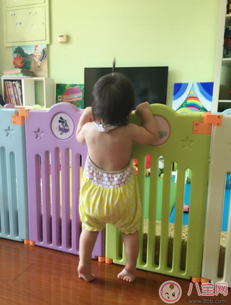 趙文卓luna寶寶學(xué)會走路 孩子走路怎么教