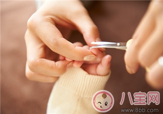 如何給寶寶剪指甲 剪指甲的正確方法