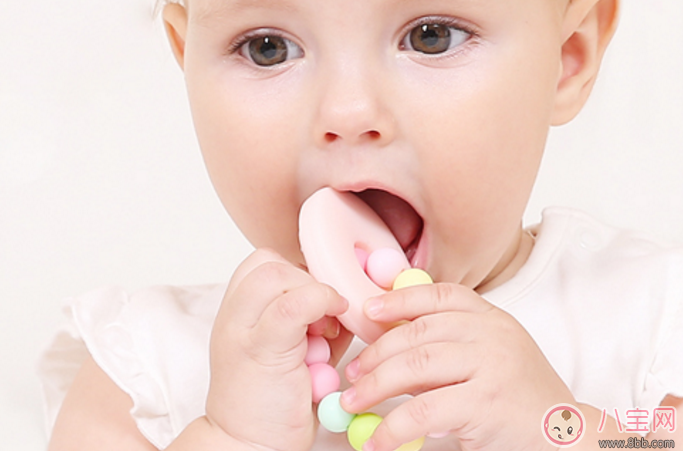 寶寶磨牙玩具怎么選 寶寶磨牙玩具有哪些 寶寶磨牙玩具怎么選 寶寶磨牙玩具有哪些