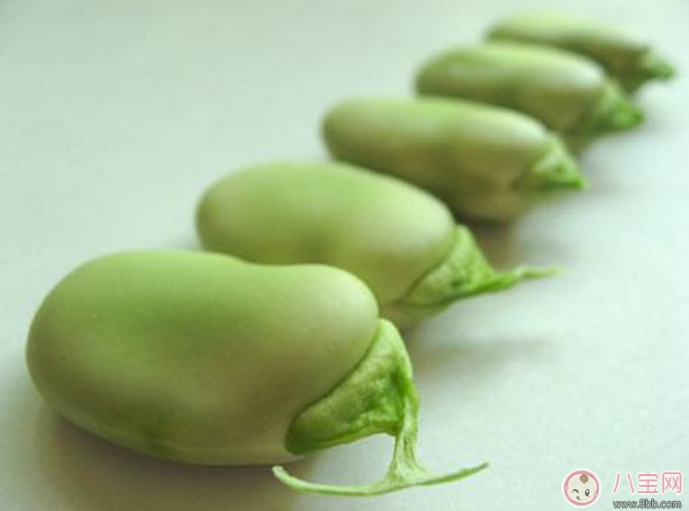 寶寶蠶豆病用藥禁忌有哪些 蠶豆病是什么病 寶寶蠶豆病用藥禁忌有哪些 蠶豆病是什么病