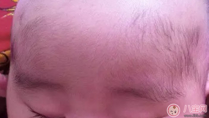 寶寶胎毛什么時候掉 寶寶胎發(fā)什么時候剃 寶寶胎毛什么時候掉 寶寶胎發(fā)什么時候剃