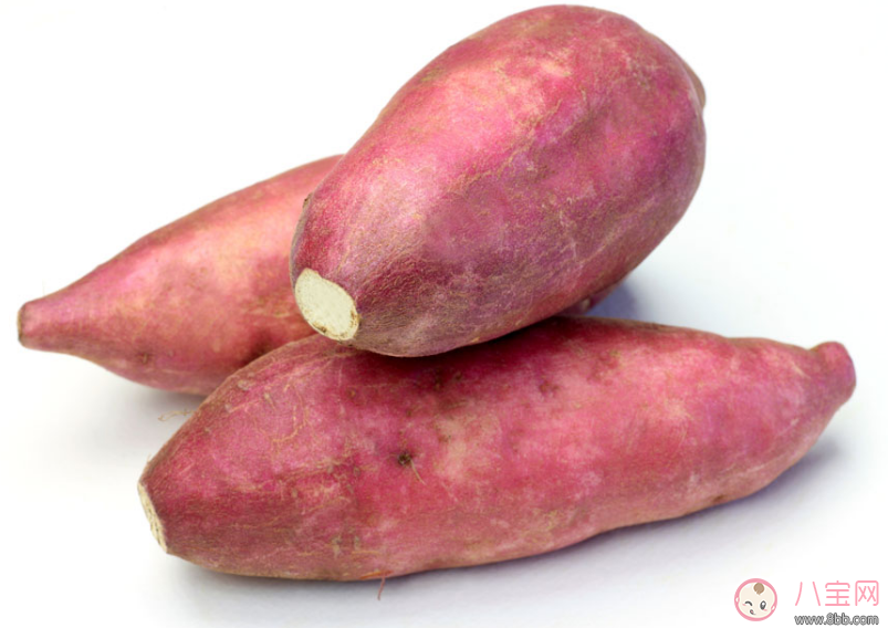 孩子這種情況居然是營養(yǎng)不良的暗示 快給孩子調整過來 孩子這種情況居然是營養(yǎng)不良的暗示 快給孩子調整過來