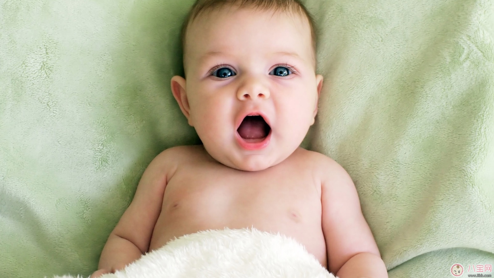 寶寶大便顯示了寶寶的狀況 注意寶寶排便頻率