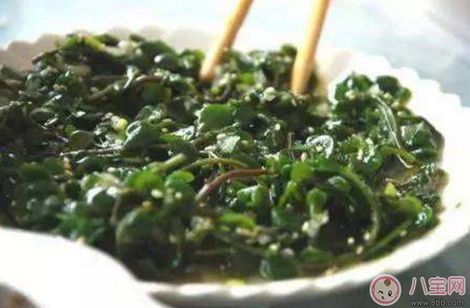 2017夏天孩子長(zhǎng)痱子有什么偏方 去治痱子偏方有哪些