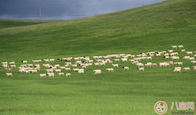 田亮森碟現(xiàn)身機場出行游玩 一家人出行需要準備什么 田亮森碟現(xiàn)身機場出行游玩 一家人出行需要準備什么