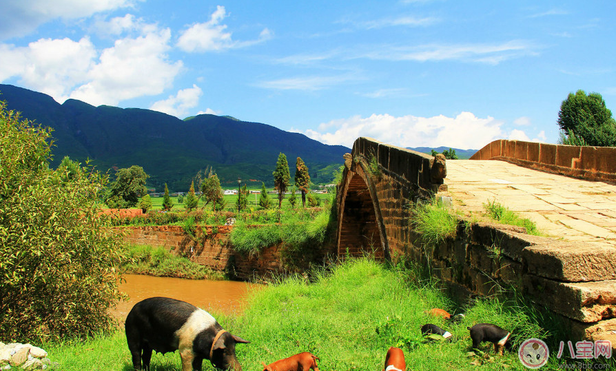 田亮森碟現(xiàn)身機場出行游玩 一家人出行需要準備什么 田亮森碟現(xiàn)身機場出行游玩 一家人出行需要準備什么