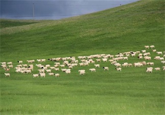 田亮森碟現(xiàn)身機(jī)場(chǎng)出行游玩 一家人出行需要準(zhǔn)備什么