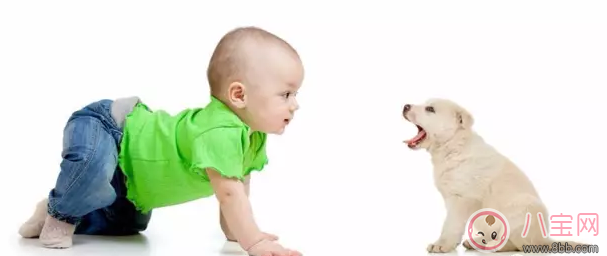 寶寶爬行怎么教 教會(huì)寶寶爬行小技巧 寶寶爬行怎么教 教會(huì)寶寶爬行小技巧