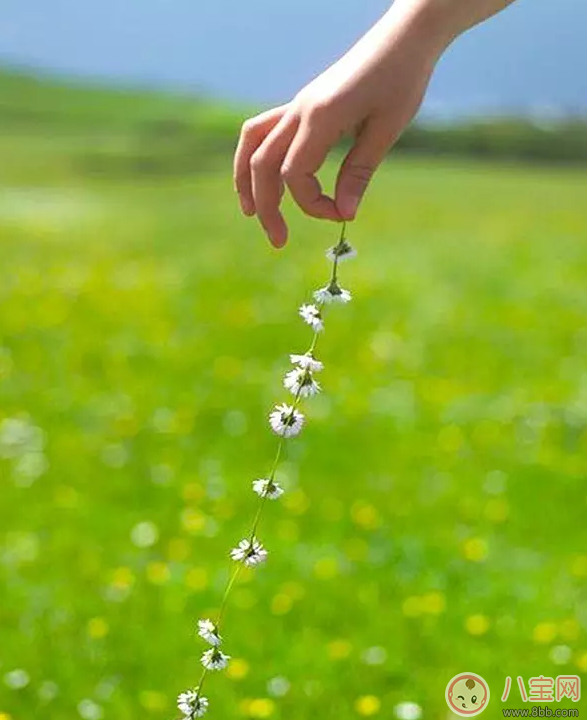 國慶節(jié)出游如何拍好一張萌寶照 怎么曬娃更加的有創(chuàng)意