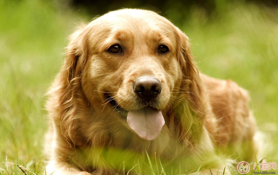 孩子自卑沒(méi)自信怎么辦 孩子沒(méi)自信如何幫他克服