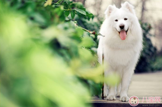 孩子自卑沒(méi)自信怎么辦 孩子沒(méi)自信如何幫他克服