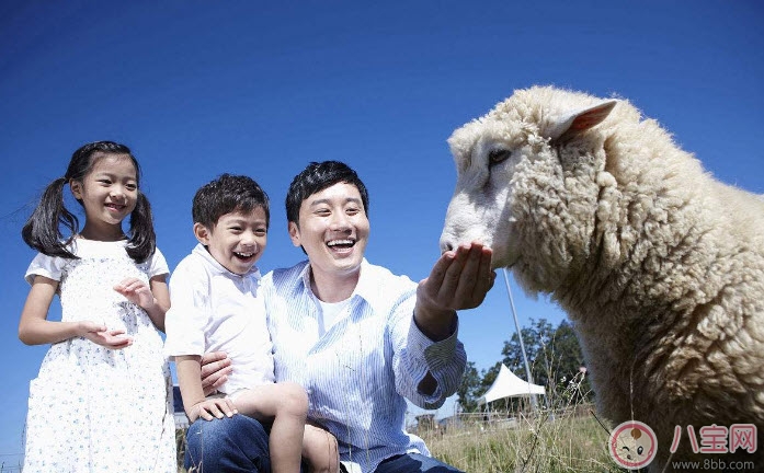 適合爸爸讀的胎教故事 準(zhǔn)爸爸胎教的方式有哪些