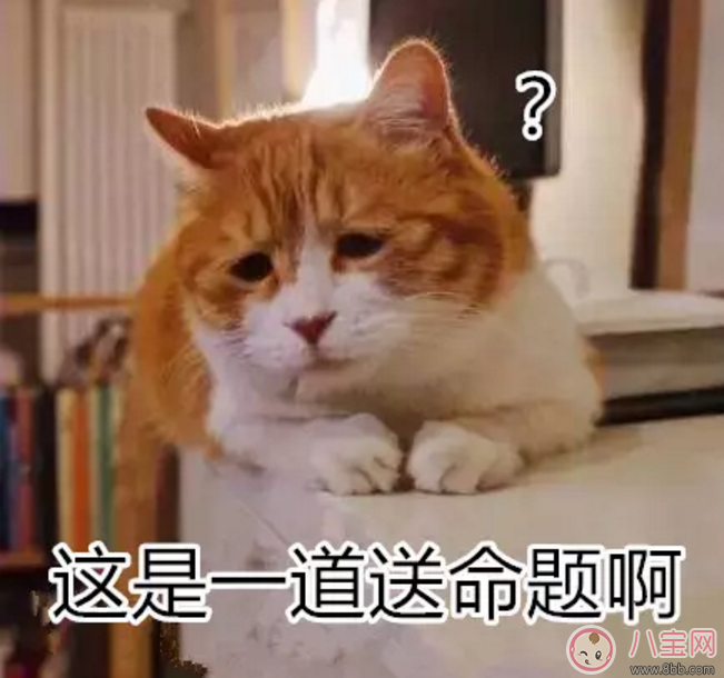 寶寶是熊孩子怎么辦？如何教育孩子不要妨礙他人呢？