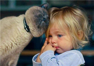 寶寶是熊孩子怎么辦？如何教育孩子不要妨礙他人呢？