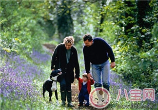 趙薇如何教育出乖巧小四月？趙薇的育兒經(jīng)是什么？