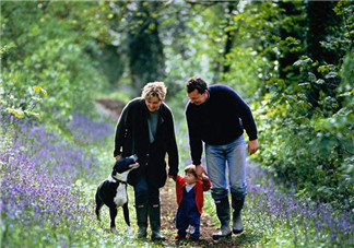 趙薇如何教育出乖巧小四月？趙薇的育兒經(jīng)是什么？