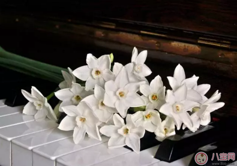 家長(zhǎng)如何辨別培訓(xùn)班師資造假 如何正確的選擇培訓(xùn)班