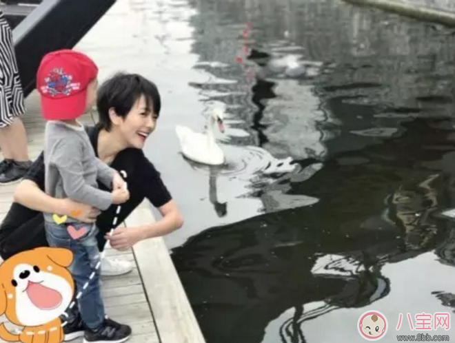 汪涵愛妻楊樂樂牽3歲小沐沐出行 國慶節(jié)出行小心孩子安全隱患