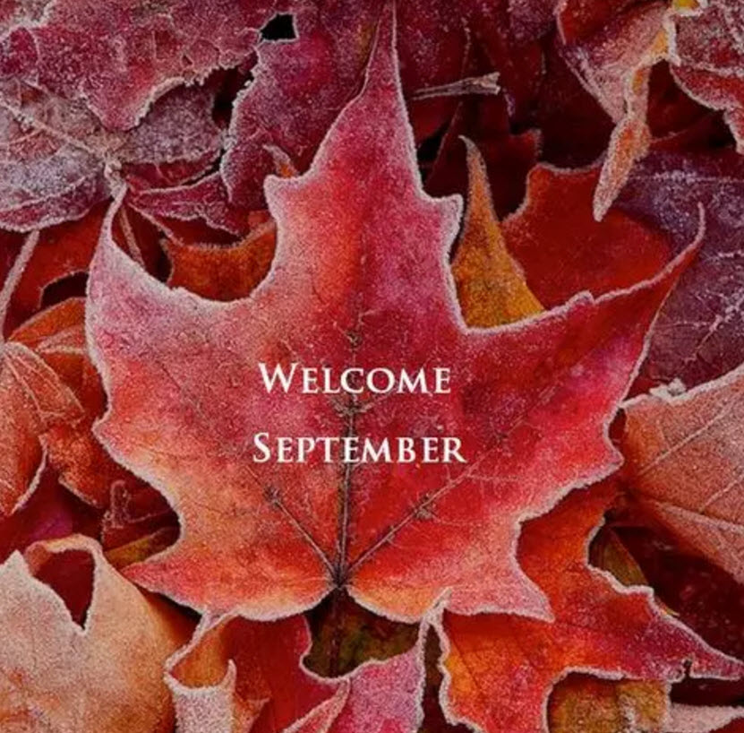 八月再見(jiàn)九月你好說(shuō)說(shuō)朋友圈 八月再見(jiàn)九月你好帶九月字圖片