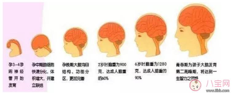 寶寶看電視的影響 如何規(guī)定寶寶看電視的時(shí)機(jī)