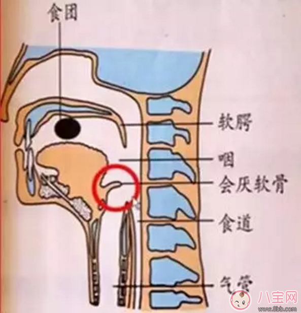 寶寶吃飯時(shí)爸爸的這個(gè)舉動(dòng) 險(xiǎn)些讓他送命！