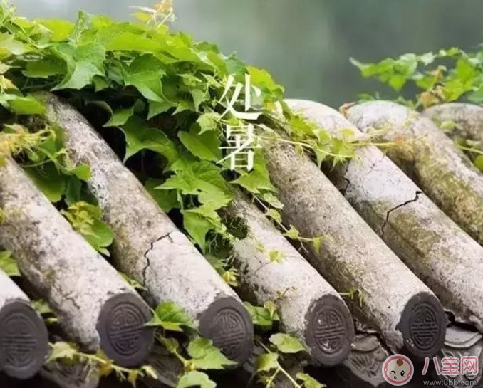 處暑養(yǎng)生吃什么處暑養(yǎng)生食譜 處暑養(yǎng)生短信祝福語