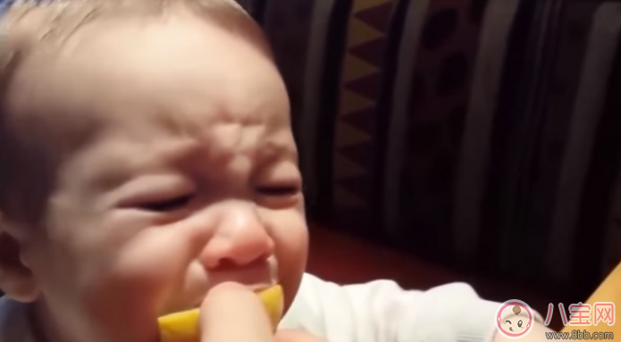 親子故事 寶寶第一次吃檸檬