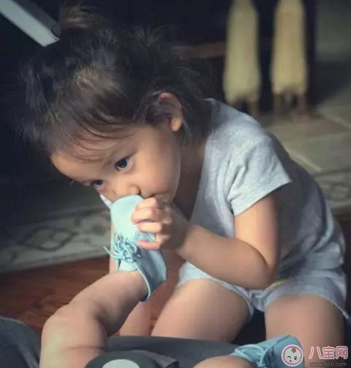 孫莉兒子胖嘟嘟超可愛(ài) 多妹與弟弟互動(dòng)超有愛(ài)