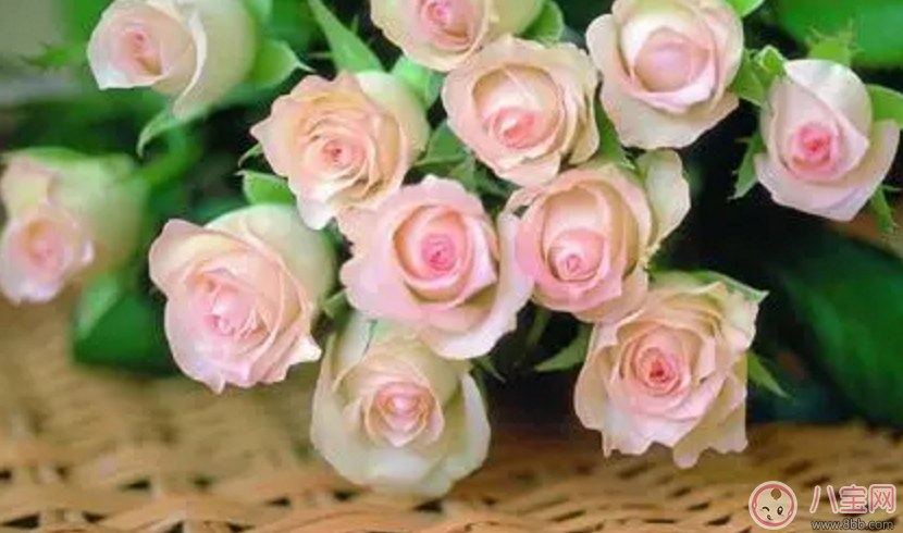 2017七夕節(jié)應(yīng)該送老婆什么禮物最有心？