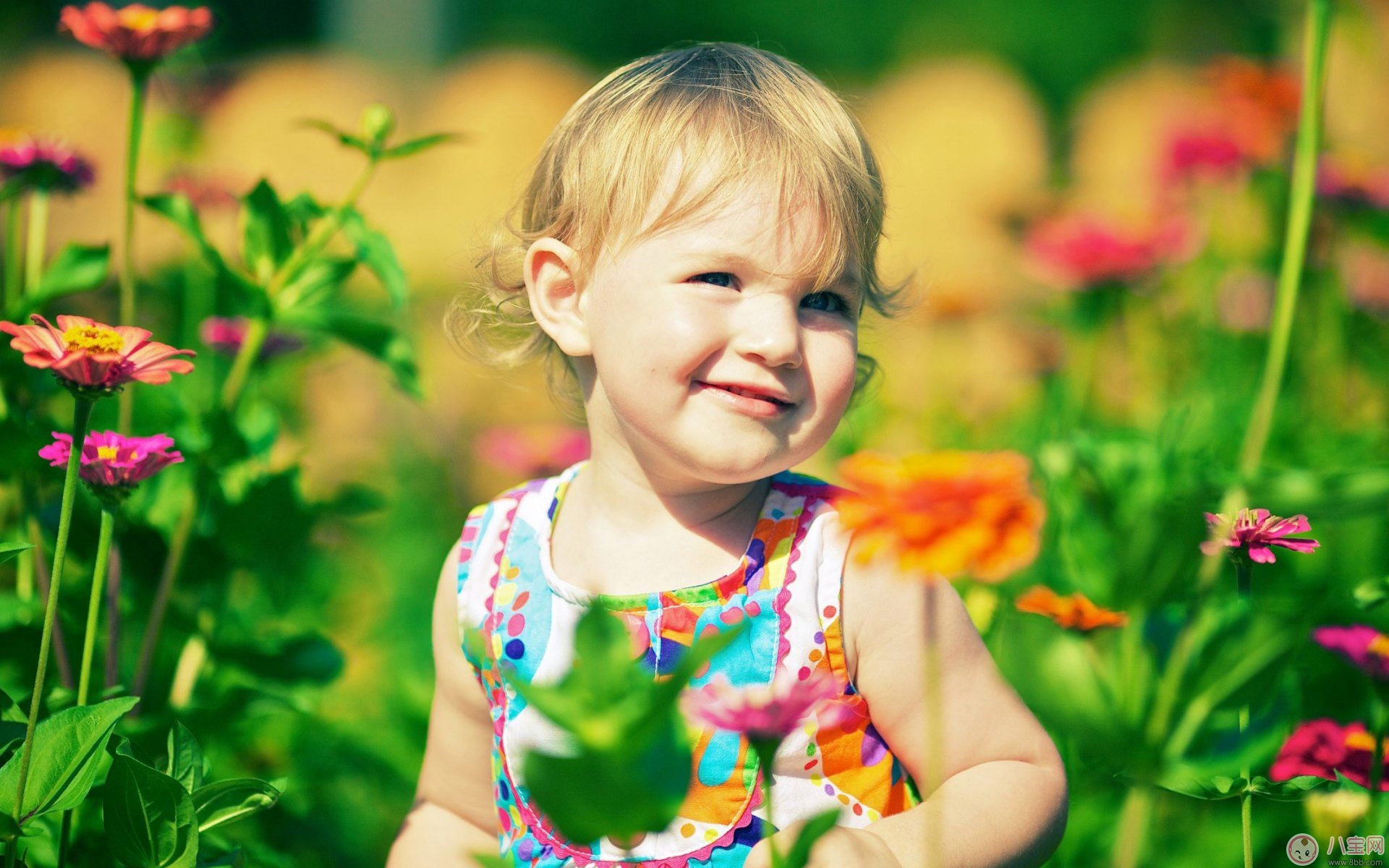 喝酒真會(huì)讓嬰兒?jiǎn)拭?給寶寶喝酒的危害