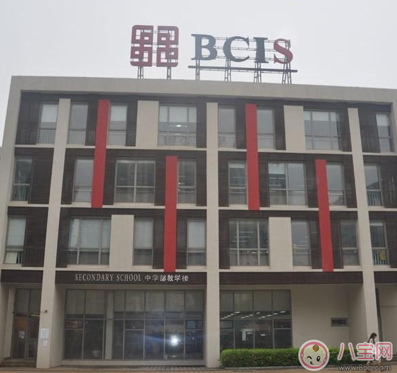 安吉上學(xué)了眼睛居然有點濕潤 安吉上學(xué)去的哪個學(xué)校