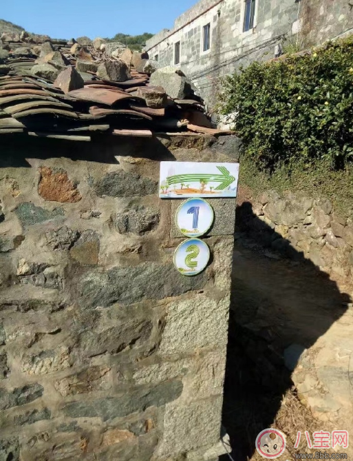 爸爸去哪兒5什么時候播 爸爸去哪兒5播出時間 爸爸去哪兒5什么時候播 爸爸去哪兒5播出時間