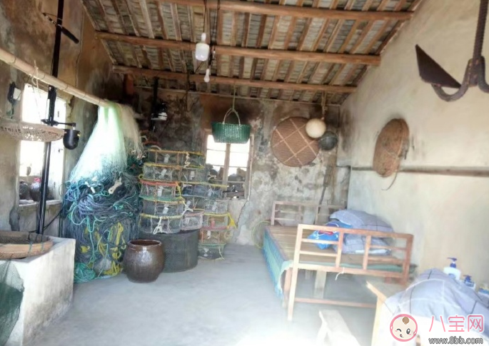 爸爸去哪兒5什么時候播 爸爸去哪兒5播出時間 爸爸去哪兒5什么時候播 爸爸去哪兒5播出時間