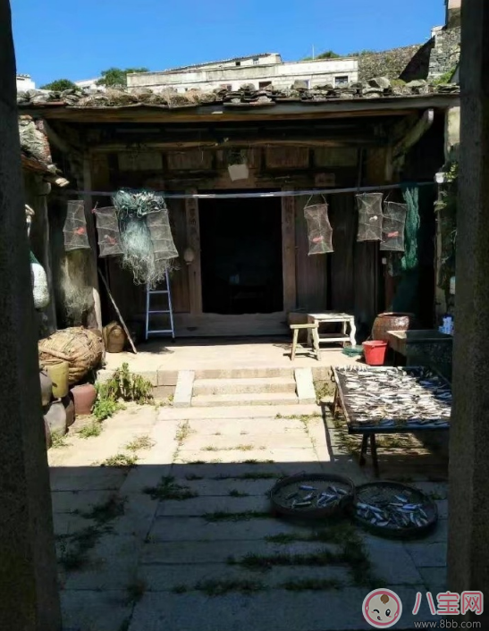 爸爸去哪兒5什么時候播 爸爸去哪兒5播出時間 爸爸去哪兒5什么時候播 爸爸去哪兒5播出時間