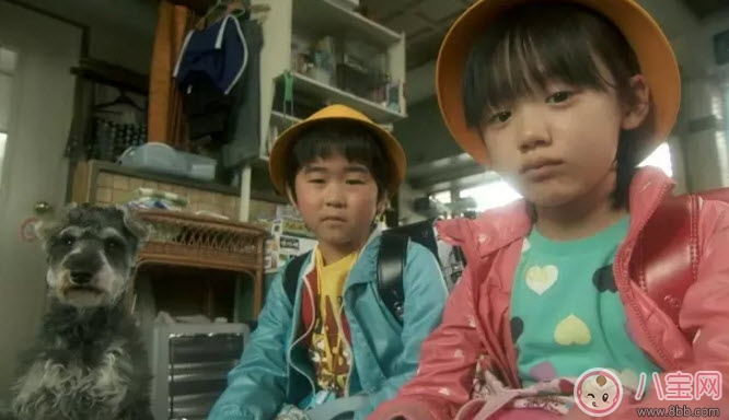 剛學說話的寶寶要不要和他說方言 家庭語言雜亂家長怎么教