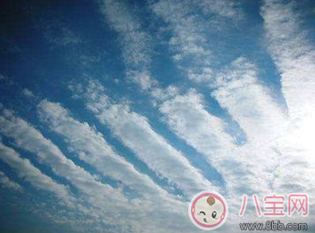 地震孩子如何自救 爸爸媽媽不在身邊怎么保護自己