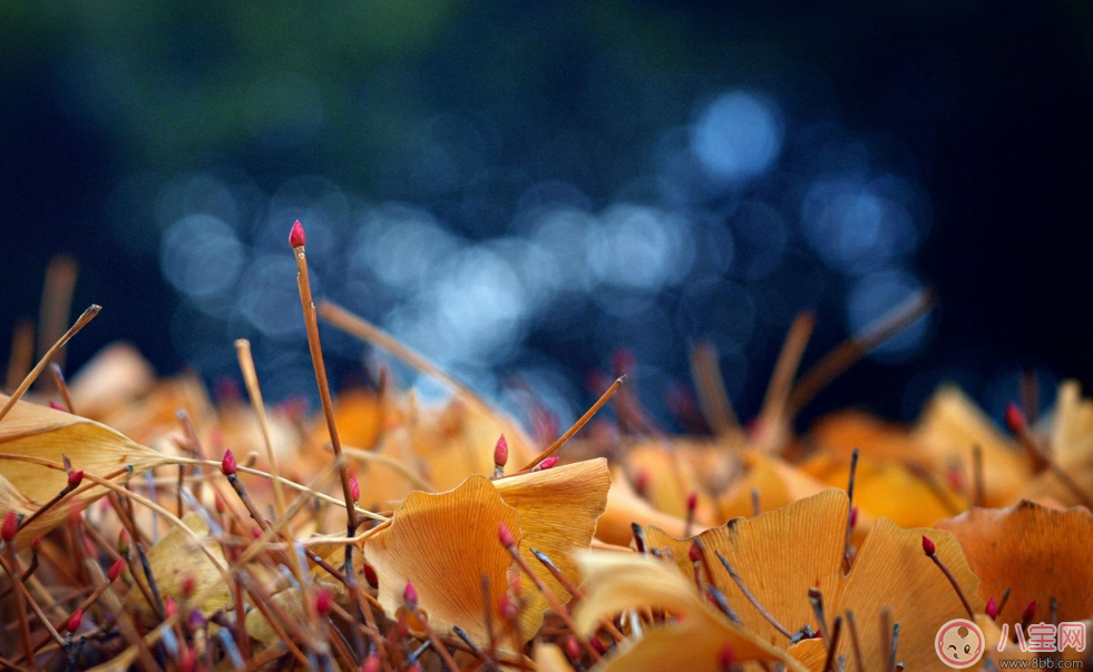立秋來了為什么還是這么熱 我一定過了一個(gè)假的立秋 立秋來了為什么還是這么熱 我一定過了一個(gè)假的立秋