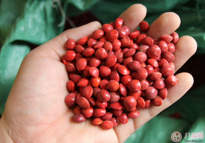 立秋來了為什么還是這么熱 我一定過了一個(gè)假的立秋 立秋來了為什么還是這么熱 我一定過了一個(gè)假的立秋