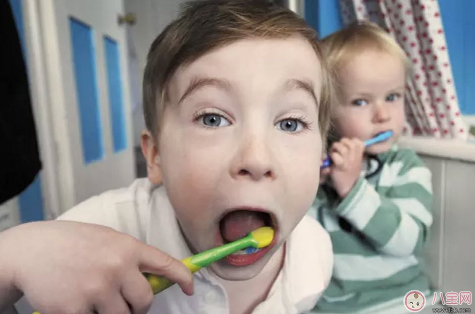 寶寶不愛刷牙 聽聽音樂故事小熊拔牙 寶寶不愛刷牙 聽聽音樂故事小熊拔牙