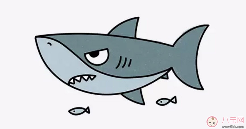 海洋生物趣味多 魚類簡筆畫