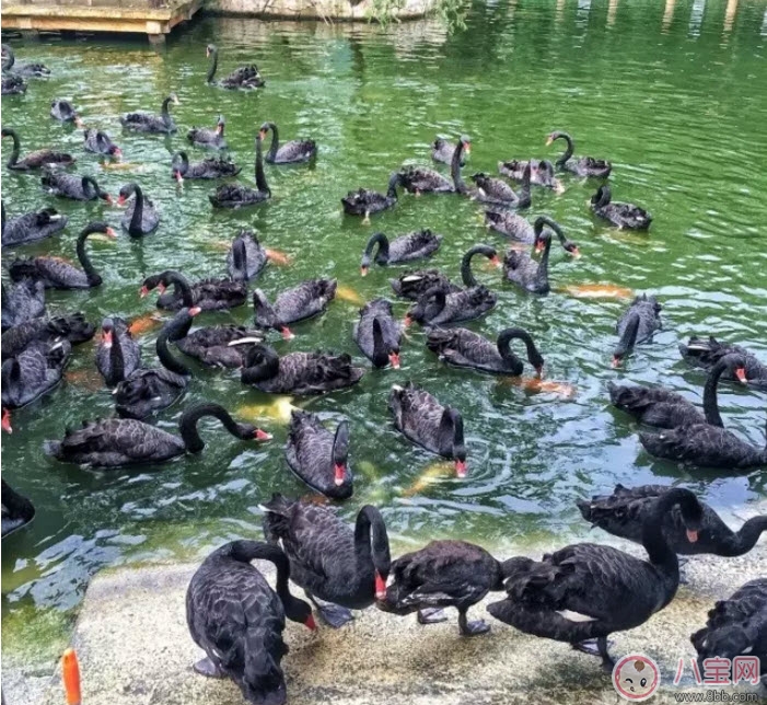 2017七夕節(jié)全家出游攻略 帶娃出行怎么做