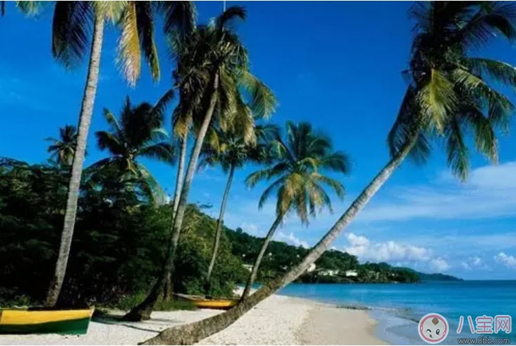 2017七夕節(jié)全家出游攻略 帶娃出行怎么做