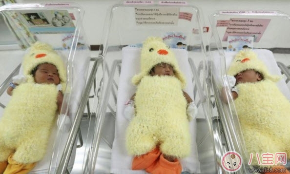 2017年雞寶寶取名禁忌 雞寶寶取名宜用字(男寶寶女寶寶)