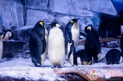 親子游去哪避暑比較好 武漢最佳避暑游玩推薦